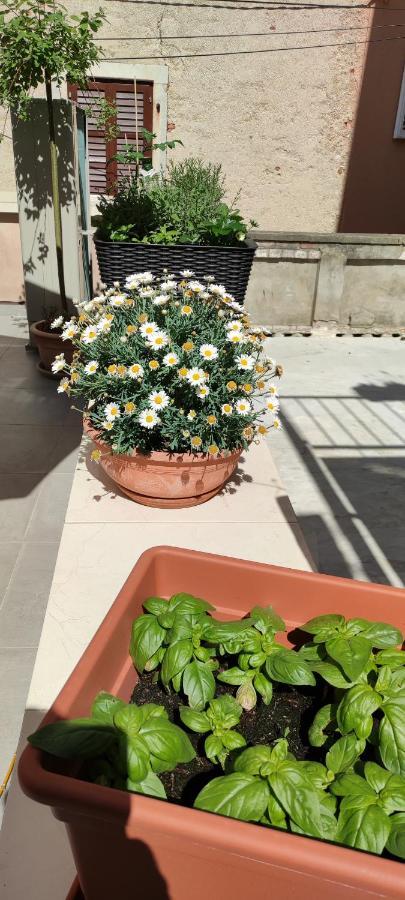 Luxury Apartment - Old Soul With A New Heart كريس المظهر الخارجي الصورة